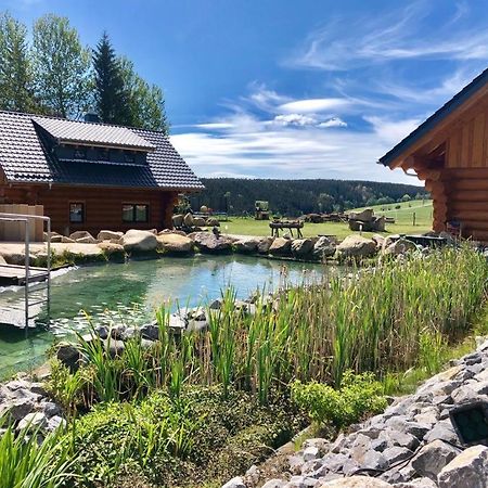 Naturstammhaus Und Appartements Zum Brockenbaecker Tanne Exteriör bild