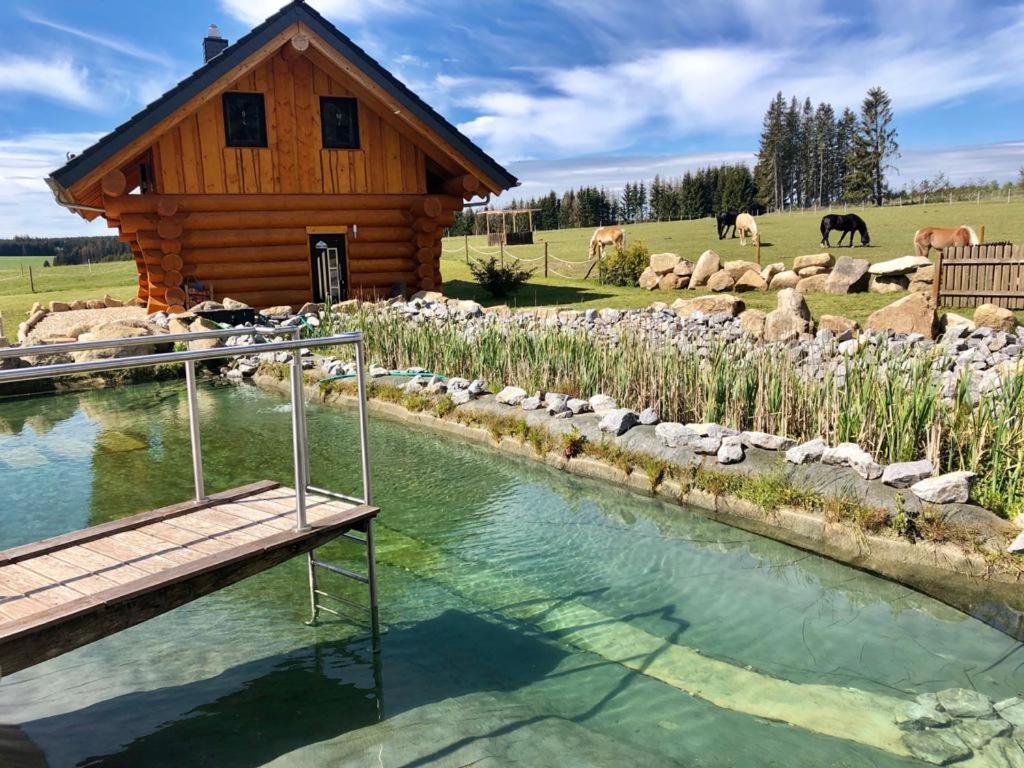 Naturstammhaus Und Appartements Zum Brockenbaecker Tanne Exteriör bild