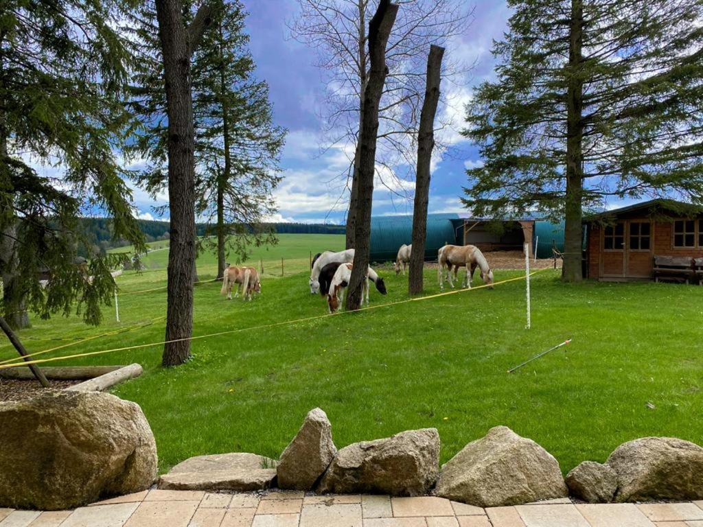 Naturstammhaus Und Appartements Zum Brockenbaecker Tanne Exteriör bild